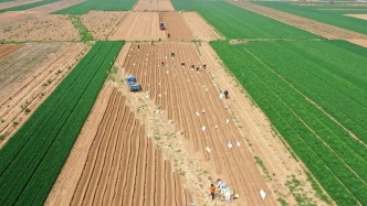 农业农村部：第二轮土地承包到期后再延长30年试点扩大到7个整省