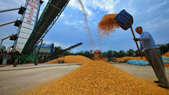 农业农村部：我国粮食产量连续两年稳定在1.4万亿斤以上