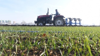 农业农村部：将指导各省健全工作机制，研究制定延包具体办法