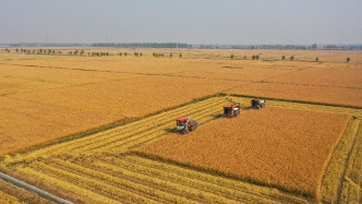 农业农村部：第二轮土地延包试点已有2500多万农户承包地总体顺延
