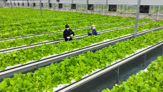 農(nóng)業(yè)農(nóng)村部：建強(qiáng)公益性農(nóng)技推廣隊伍，加快推動農(nóng)科成果進(jìn)村入戶