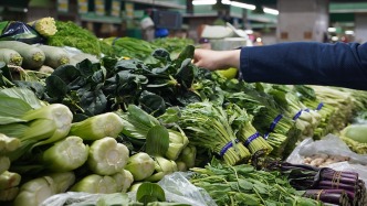 春節(jié)期間“菜籃子”產(chǎn)品生產(chǎn)供應(yīng)情況如何？農(nóng)業(yè)農(nóng)村部回應(yīng)