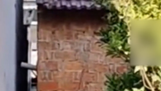 因猪栏占地纠纷，六旬男子持长矛杀死邻居，庭审时认罪不悔罪