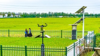 農(nóng)業(yè)農(nóng)村部：持續(xù)推動人工智能等在農(nóng)業(yè)領(lǐng)域應(yīng)用，讓生產(chǎn)更高效