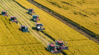 農(nóng)業(yè)農(nóng)村部：2025年單產(chǎn)提升對全國糧食增產(chǎn)的貢獻(xiàn)率超過90%