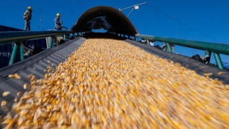 2026年將如何進(jìn)一步抓好糧食生產(chǎn)，保護(hù)好糧袋子？農(nóng)業(yè)農(nóng)村部回應(yīng)