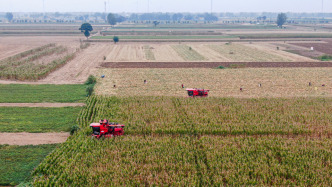 農(nóng)業(yè)農(nóng)村部：對部分地方高標(biāo)準(zhǔn)農(nóng)田建設(shè)中存在的問題，開展專項整治