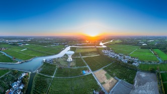 上海松江：去年社会消费品零售总额增长11.8%，增幅居全市第一