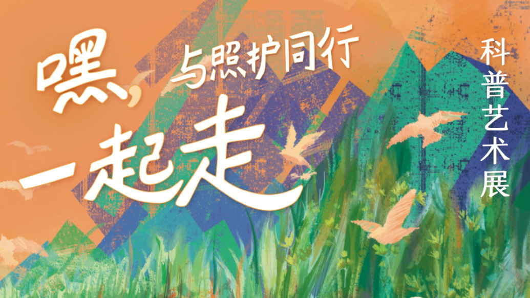 在600號畫廊，走進照護者的世界