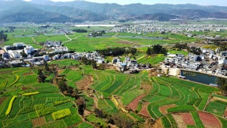 中央巡视工作领导小组办公室负责人就《关于加强对村巡察工作的意见》答问