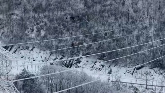 焦點(diǎn)訪談丨寒潮“速凍”全國 他們一直堅(jiān)守在保供保暢一線