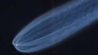 明查｜伊朗成功試射首枚洲際彈道導彈？別用“天舟九號”客串