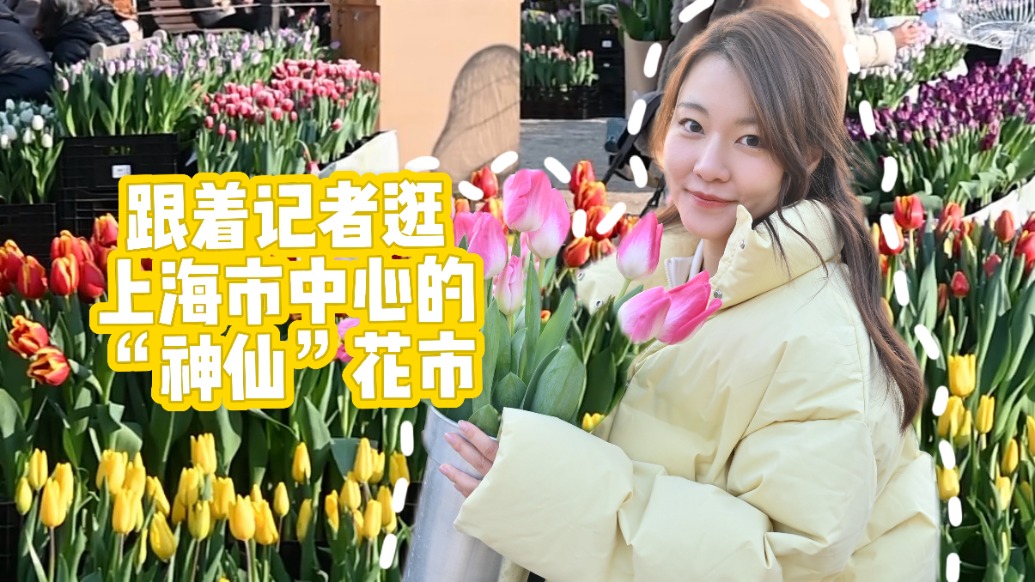 亲手采摘！来上海市中心这片花海，带一束专属你的“年味”