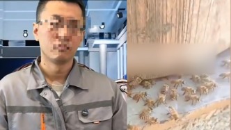 中国国航辟谣“女机长被国航解聘后养蜂卖蜜”：均非国航员工，保留追责权利