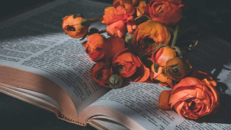 拒付劇本轉(zhuǎn)讓費(fèi)的抗辯權(quán)，行使是否有期限的限制？（一）