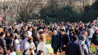 上海市中心年宵花市一天接待5万人，这种花全天销售超两万支