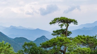 青海省政协委员公保才旦去世，曾任海北州委常委、统战部长