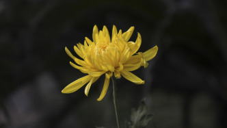 上海半导体产投创始人朱旭东因病逝世，享年62岁