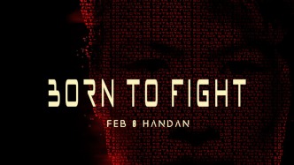 張偉麗回鄉(xiāng)創(chuàng)辦格斗賽事，首場BTF冠軍賽2月8日邯鄲舉辦