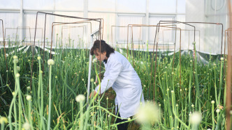 我國將全面開展農(nóng)業(yè)氣候資源普查和區(qū)劃