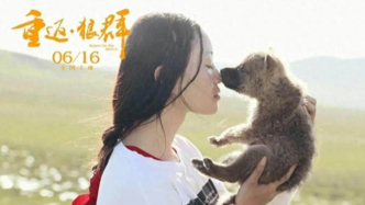 《重返狼群》背后：那只被人類養(yǎng)大的狼，真的“重返”成功了嗎？