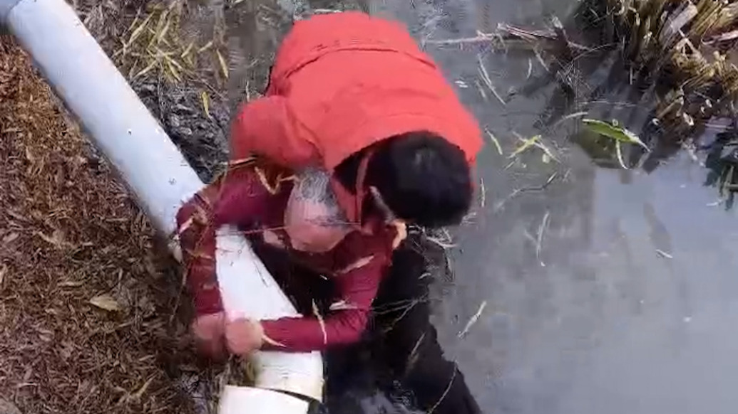 七旬老太意外墜河，男子下水救起：不會(huì)游泳但遇到了就要管