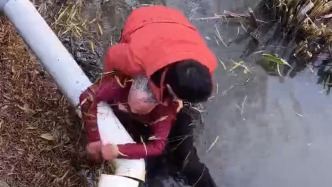 七旬老太意外墜河，男子下水救起：不會游泳但遇到了就要管
