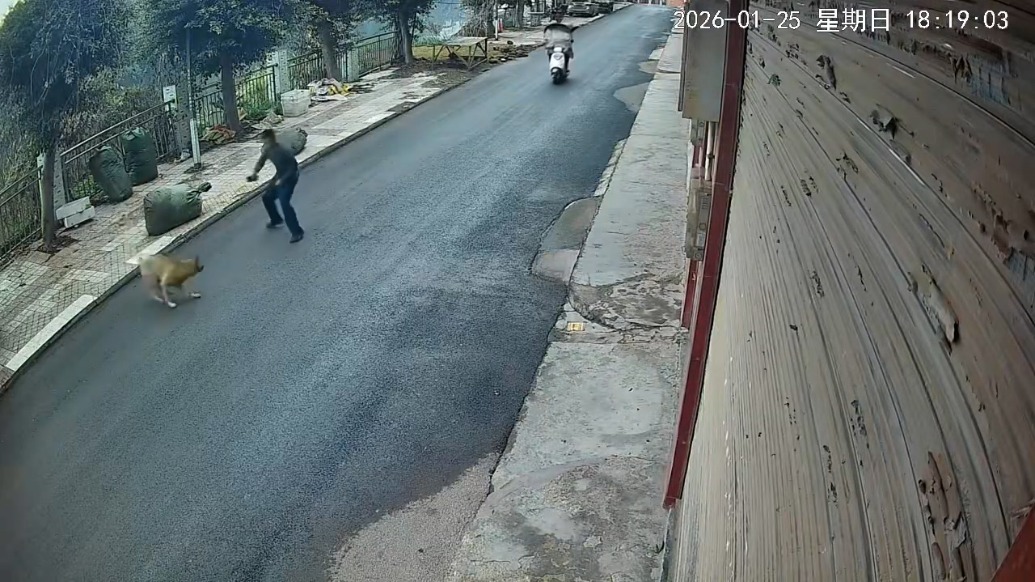 跑友傍晚遭未拴绳大狗攻击，派出所：已批评犬只主人