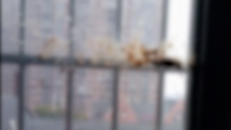 安徽蚌埠一小區(qū)有人高空拋排泄物？物業(yè)：業(yè)主已經(jīng)報警