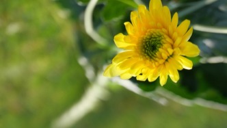 2025年共有9名移民管理警察犧牲殉職