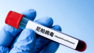 世衛(wèi)組織：尚無證據(jù)表明尼帕病毒存在人際傳播能力增強的情況