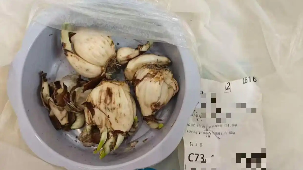 误送水仙当百合致老人小孩中毒，盒马：正与当事人协商解决