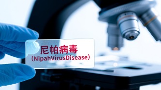 印度政府：目前僅確診兩例尼帕病毒病病例