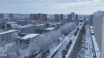 焦點(diǎn)訪談丨年入三四億舉債七億建項(xiàng)目，調(diào)查吉林東豐“政績(jī)工程”