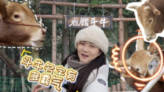 中国好赛来丨围观贵州岩腊斗牛，村牛的“名号”一个比一个狂！