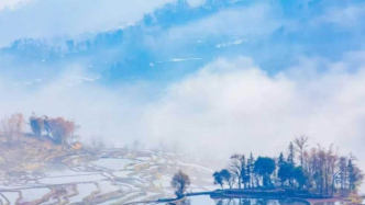 9天春节假，聪明酒店人已靠这招满房溢价