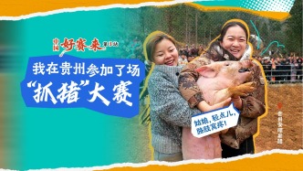 中國(guó)好賽來(lái)丨我在貴州參加了場(chǎng)“抓豬”大賽：斗牛場(chǎng)里抓小豬，誰(shuí)才是最后贏家？