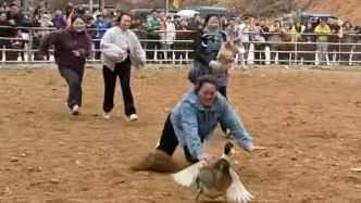 中國(guó)好賽來(lái)丨斗牛場(chǎng)里的歡樂(lè)副本：村民沉浸式抓鴨子，抓到直接帶回家