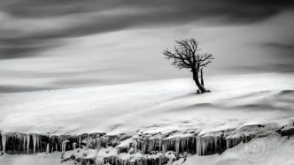 跨越山海，连接世界 | 2025年第6届奥地利维也纳国际摄影奖·维帕摄影奖获奖公布（二）