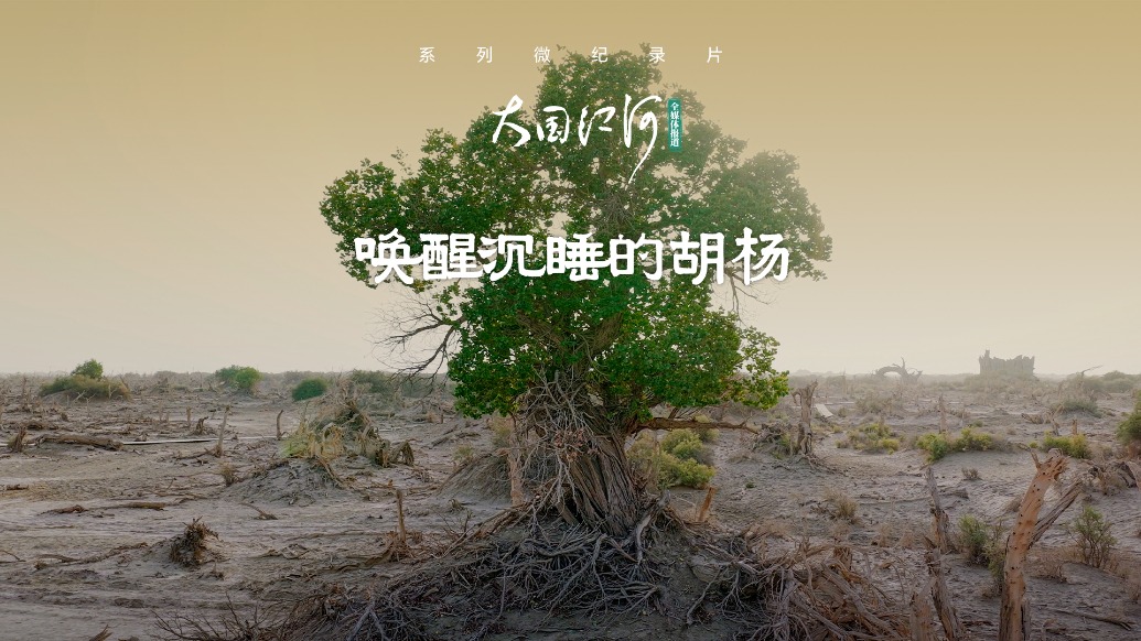 大国江河｜唤醒沉睡的胡杨