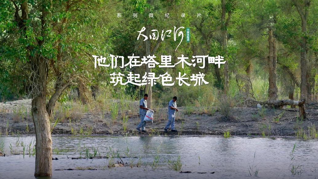 大国江河｜他们在塔里木河畔筑起绿色长城