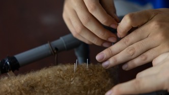 宠物情感消费热下的隐忧：速成“宠物针灸师”，针都忘了拔