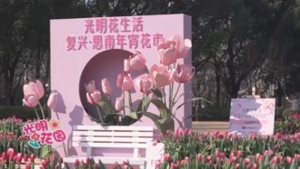 視頻丨從買年貨到體驗?zāi)晡叮翰烧⑹肿?、市集點燃新春氛圍