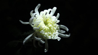 船舶材料領(lǐng)域資深專家趙九夷逝世，深耕艦船螺旋槳新材料研發(fā)