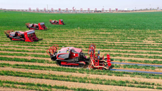 全國所有鄉(xiāng)鎮(zhèn)及95%的行政村已通5G