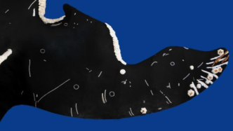 鯨魚在展廳“游弋”：浦東美術館將展巨型裝置