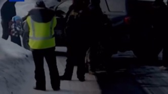 遭美移民执法人员扣押的5岁男童已获释