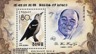 飞鸟、边界与生命政治：跨越朝韩非军事区的奇异亲缘