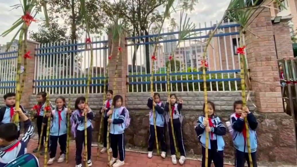 “寓意從頭甜到尾”！放寒假，柳州一學(xué)校給孩子們每人一根甘蔗