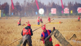 读懂城市｜从0到900亿，一只小龙虾如何叩开潜江产业大门